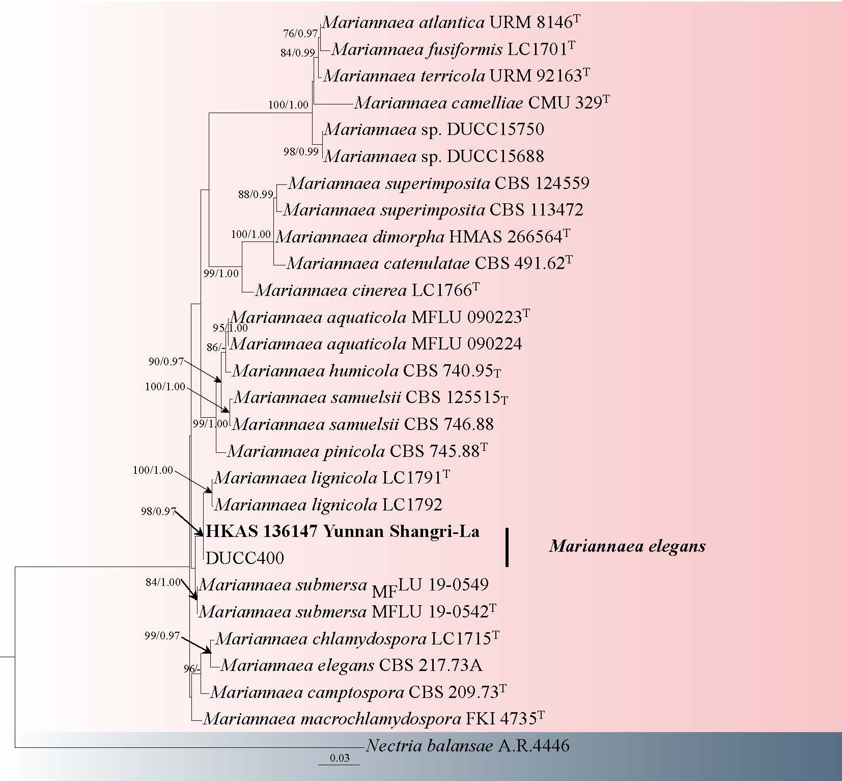 Figure 75